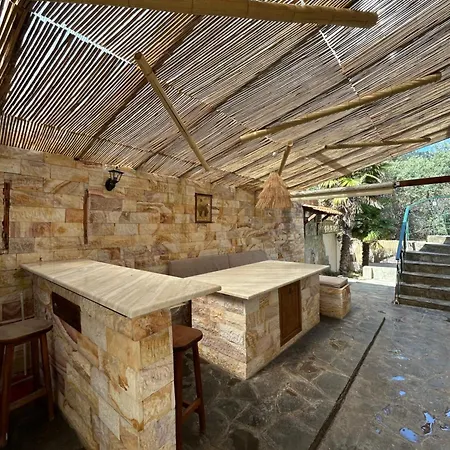 K. - Golden Case de vacanță